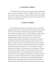 Flioksai ir jų auginimas 5 puslapis