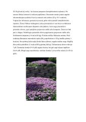 Flioksai ir jų auginimas 10 puslapis