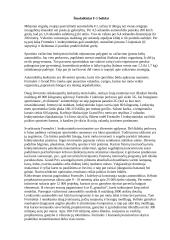 Formulės 1 Grand Prix 7 puslapis