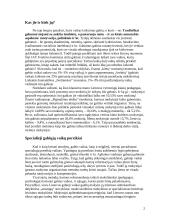 Gabių vaikų ugdymas 2 puslapis