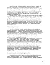 Gabių vaikų ugdymas 5 puslapis