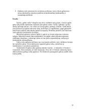 Gabių vaikų ugdymas 10 puslapis