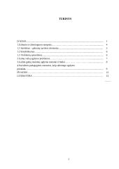 Gabumo ir talentingumo samprata 2 puslapis