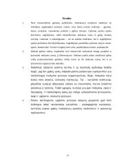 Gabumo ir talentingumo samprata 12 puslapis