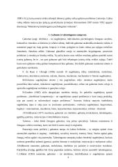 Gabumo ir talentingumo samprata 4 puslapis