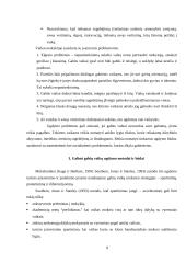 Gabumo ir talentingumo samprata 8 puslapis