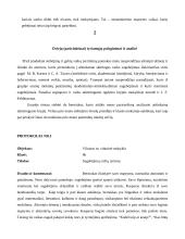 Gabiųjų atpažinimas ir ugdymo galimybė 2 puslapis