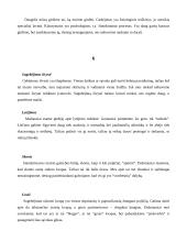 Gabiųjų atpažinimas ir ugdymo galimybė 6 puslapis