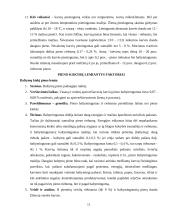 Galvijų pieno produkcija ir ją įtakojantys veiksniai 11 puslapis