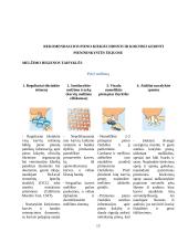 Galvijų pieno produkcija ir ją įtakojantys veiksniai 13 puslapis