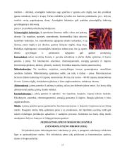 Galvijų pieno produkcija ir ją įtakojantys veiksniai 17 puslapis