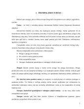 Gamybinių ir prekybinių įmonių atsargų apskaitos ypatybės: UAB "X"atsargų apskaita 3 puslapis