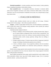 Gamybinių ir prekybinių įmonių atsargų apskaitos ypatybės: UAB "X"atsargų apskaita 4 puslapis