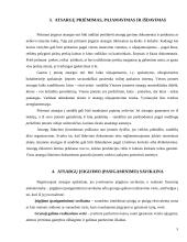 Gamybinių ir prekybinių įmonių atsargų apskaitos ypatybės: UAB "X"atsargų apskaita 5 puslapis