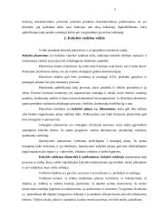 Gamybos kokybės kontrolės organizavimas 4 puslapis