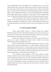 Gamtos išteklių naudojimas ir taupymo problemos 9 puslapis