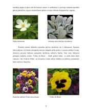 Gėlynų priežiūra 11 puslapis
