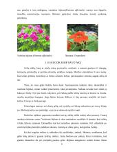 Gėlynų priežiūra 6 puslapis