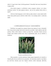 Gėlynų priežiūra 7 puslapis