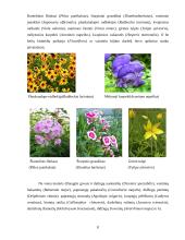 Gėlynų priežiūra 8 puslapis