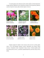 Gėlynų priežiūra 9 puslapis