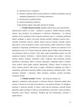 Gimtosios kalbos svarba ir vaikų kalbos ugdymas 11 puslapis