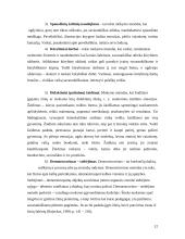 Gimtosios kalbos svarba ir vaikų kalbos ugdymas 12 puslapis