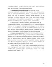 Gimtosios kalbos svarba ir vaikų kalbos ugdymas 15 puslapis