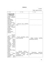 Gimtosios kalbos svarba ir vaikų kalbos ugdymas 18 puslapis