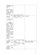 Gimtosios kalbos svarba ir vaikų kalbos ugdymas 19 puslapis