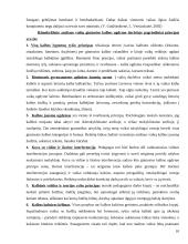 Gimtosios kalbos svarba bei ugdymo galimybės vaikystėje 8 puslapis