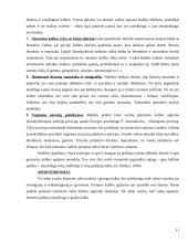 Gimtosios kalbos svarba bei ugdymo galimybės vaikystėje 9 puslapis