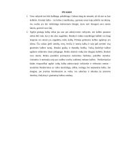 Gimtosios kalbos svarba bei ugdymo galimybės vaikystėje 10 puslapis