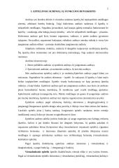 Epiteliniai audiniai, gyvulių atranka ir kiaulių tipai 2 puslapis