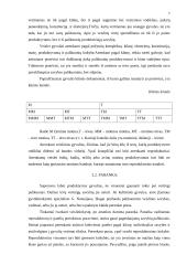 Epiteliniai audiniai, gyvulių atranka ir kiaulių tipai 7 puslapis