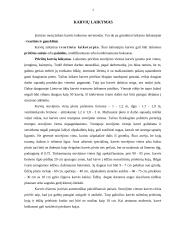 Karvių, ančių ir žąsų laikymas 2 puslapis