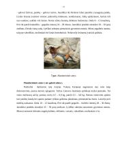 Karvių, ančių ir žąsų laikymas 12 puslapis