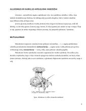 Gyvūnų pagalba augalams 8 puslapis