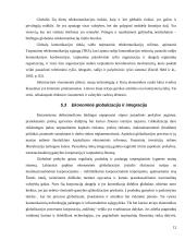 Globalizacijos procesai ir informacija 12 puslapis