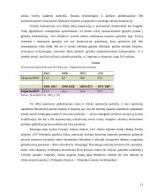 Globalizacijos procesai ir informacija 13 puslapis