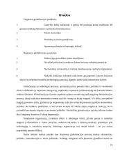 Globalizacijos procesai ir informacija 18 puslapis