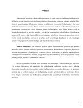 Globalizacijos procesai ir informacija 3 puslapis