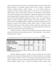 Globalizacijos procesai ir informacija 9 puslapis