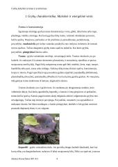 Grybų kokybės tyrimas ir įvertinimas 2 puslapis