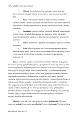 Grybų kokybės tyrimas ir įvertinimas 6 puslapis