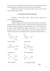 Grybų toksinai 18 puslapis