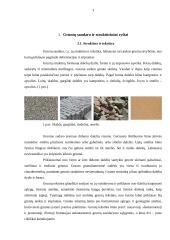 Gruntų sandara ir struktūriniai ryšiai bei nepastovių struktūrinių ryšių gruntai 3 puslapis