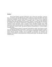 GSM tinklai 13 puslapis