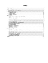 GSM tinklai 14 puslapis