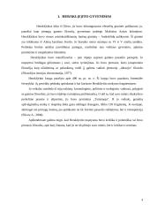 Heraklito filosofija 4 puslapis